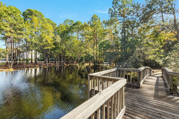A wooden boardwalk over a calm lake surrounded by tall pine trees.