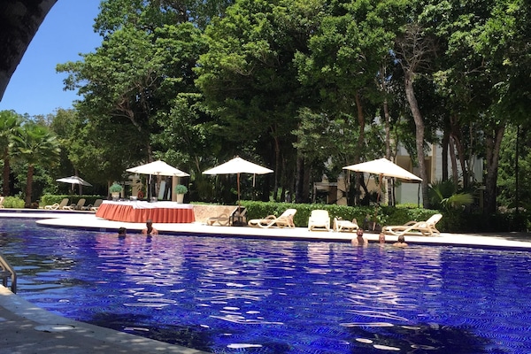 Pool at Sian Ka'an - "The Cenote"