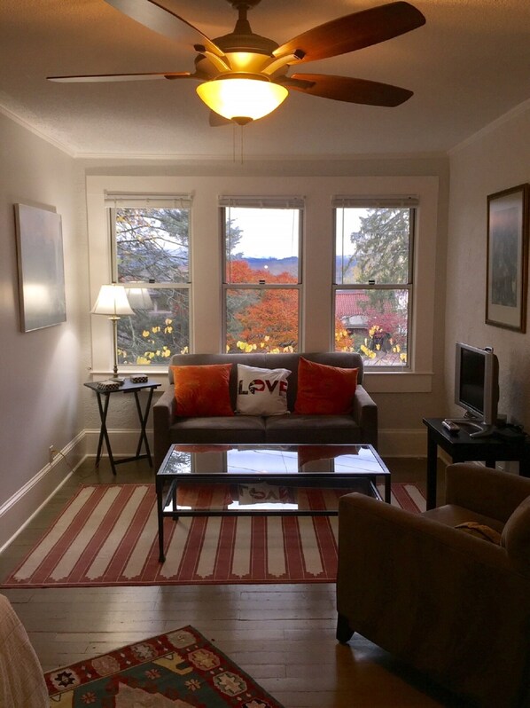 Cozy Bedsitter Closest to Pack Square Liberty Cafe Ayurvedic Inst see