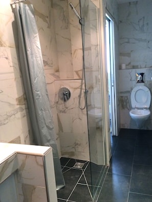 Combined shower/bathtub, hair dryer, towels