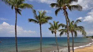 A beach with palm trees and a view of the ocean. - Beachfront Condo E 303/ Incredible views/ Pickleball/Great Snorkeling (Kihei)