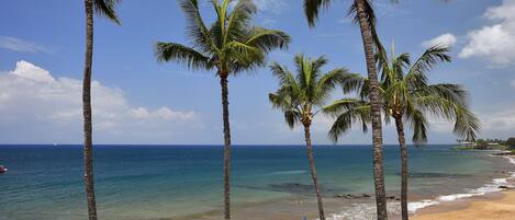 On the beach, sun loungers, beach towels