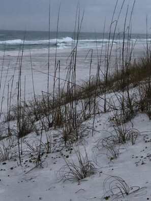 Beach nearby - Cute As A Button, Plenty Of Space And Very Easy Walk To Beach (Santa Rosa Beach)