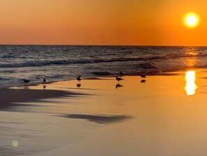 Beach nearby - Cute As A Button, Plenty Of Space And Very Easy Walk To Beach (Santa Rosa Beach)