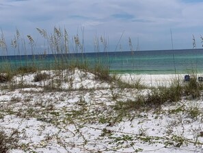 Ein Strand mit Sand, vereinzelter Vegetation, blauem Himmel und dem Meer im Hintergrund.