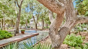 A serene garden with a pond, trees, and a pathway.