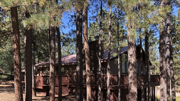 Una baita con veranda in legno, circondata da alti pini.