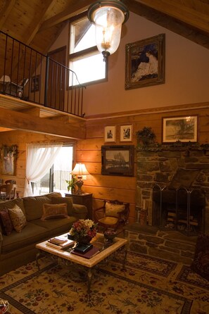 Smart TV, fireplace, DVD player, books