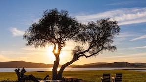 Property grounds - Wakana Lake Glamping (Benalup-Casas Vieja)