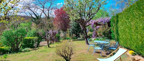 Garden view
