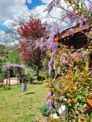 Un jardin agrémenté d’une pergola en bois, d’une végétation luxuriante et de plantes grimpantes aux fleurs violettes.