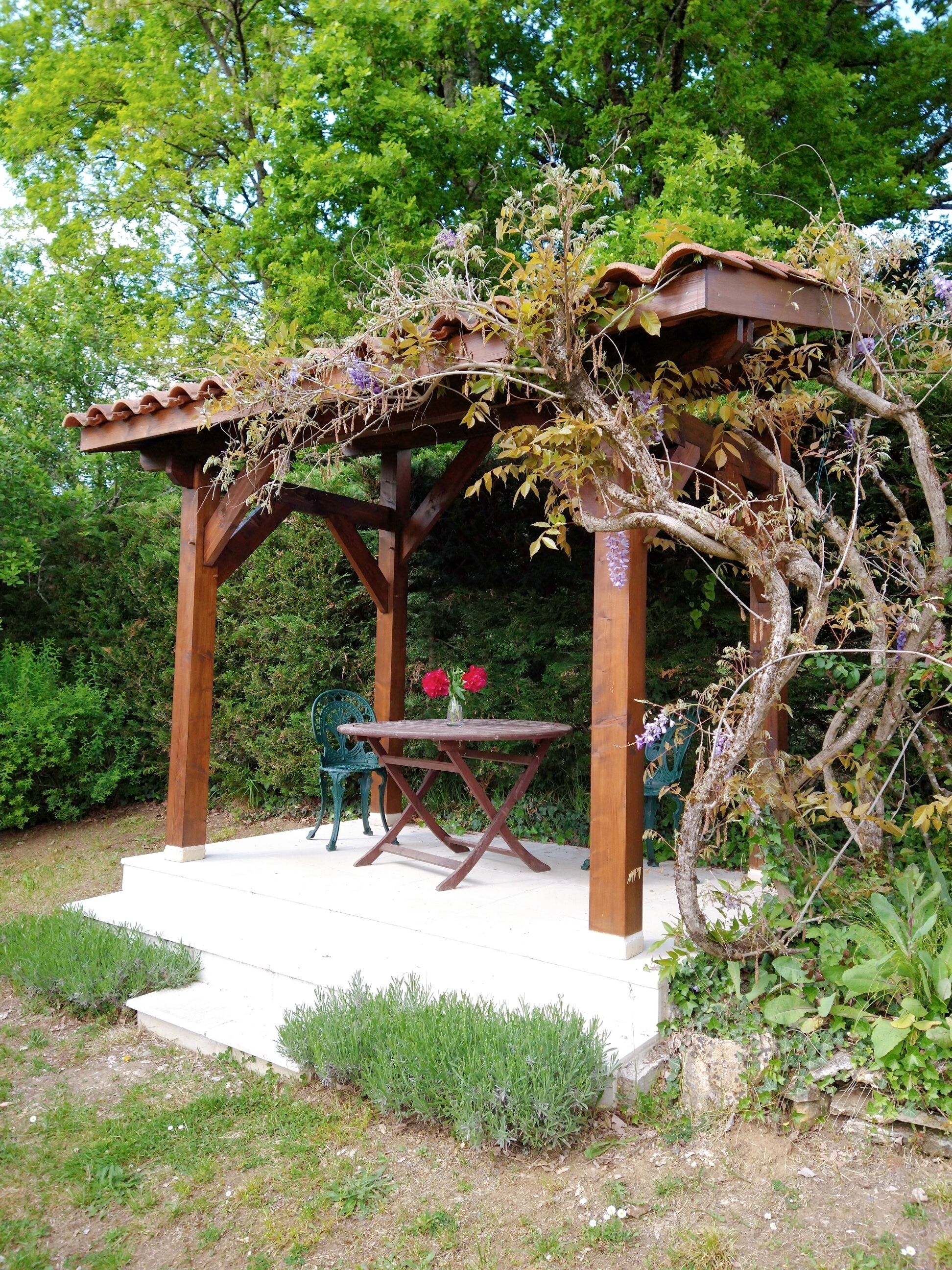 Photo - La Colline - Chambre d'hôtes - B&B