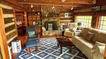 Smart TV, fireplace, video games, DVD player
