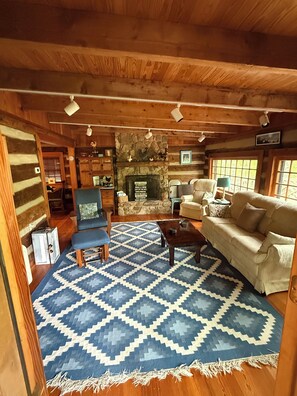 Smart TV, fireplace, video games, DVD player