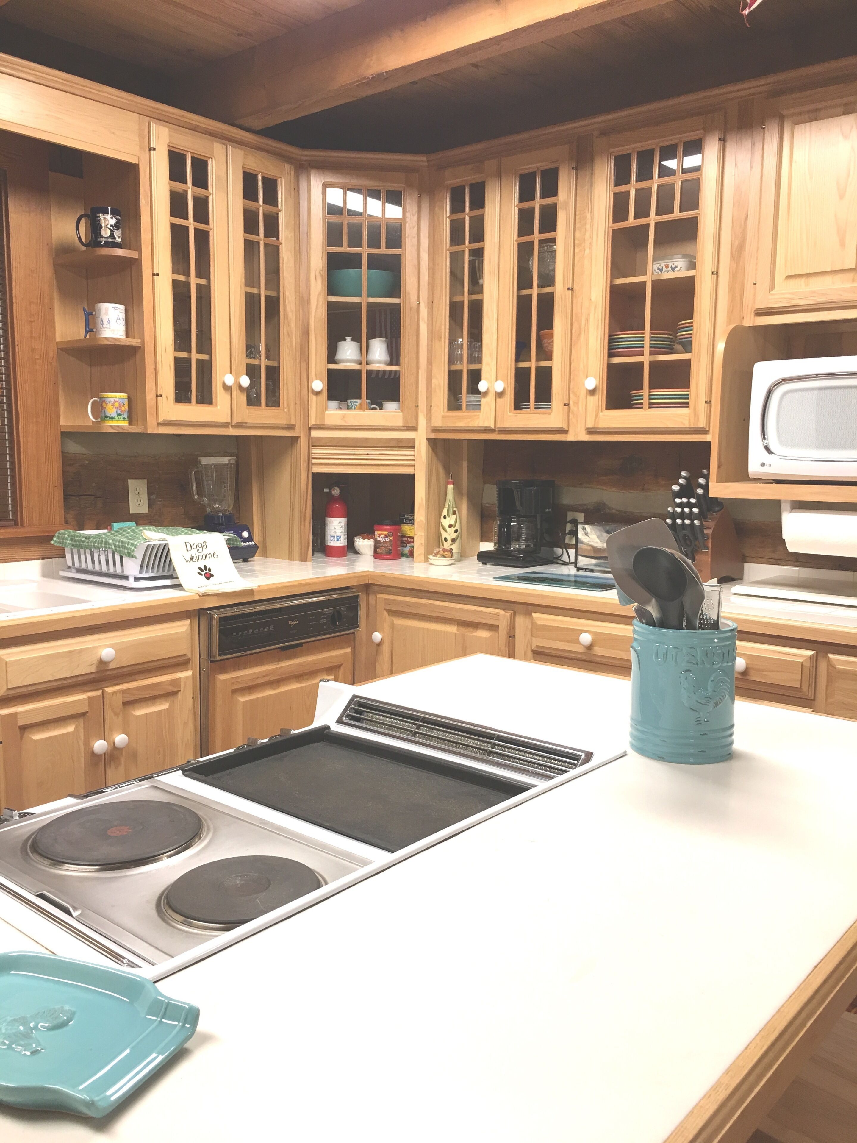 Cabin life- enjoy the serenity in the woods & the party on the lake!