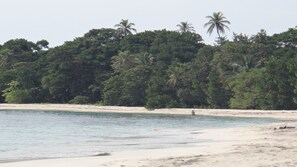 Ein Strand mit klarem Wasser, sandigem Ufer und üppiger, grüner Vegetation im Hintergrund.
