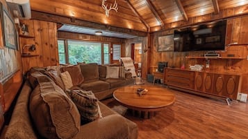 Smart TV, fireplace, video games, DVD player