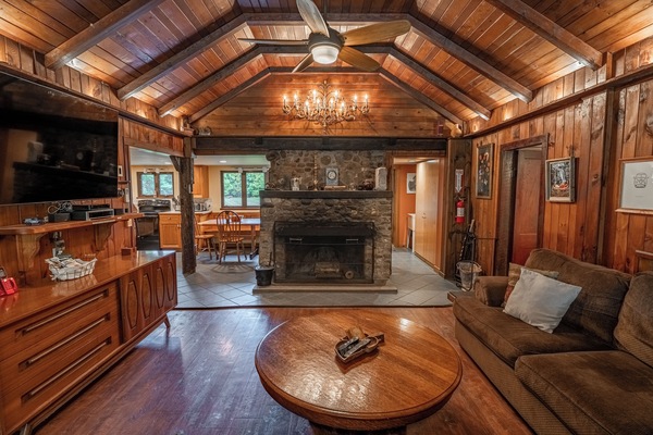 Televisor intel·ligent, llar de foc, videojocs i reproductor de DVD