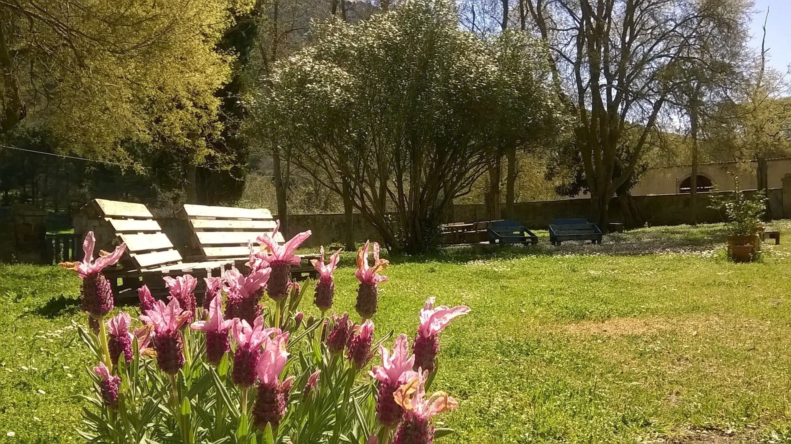 Foto - Hotel Locanda Minerva