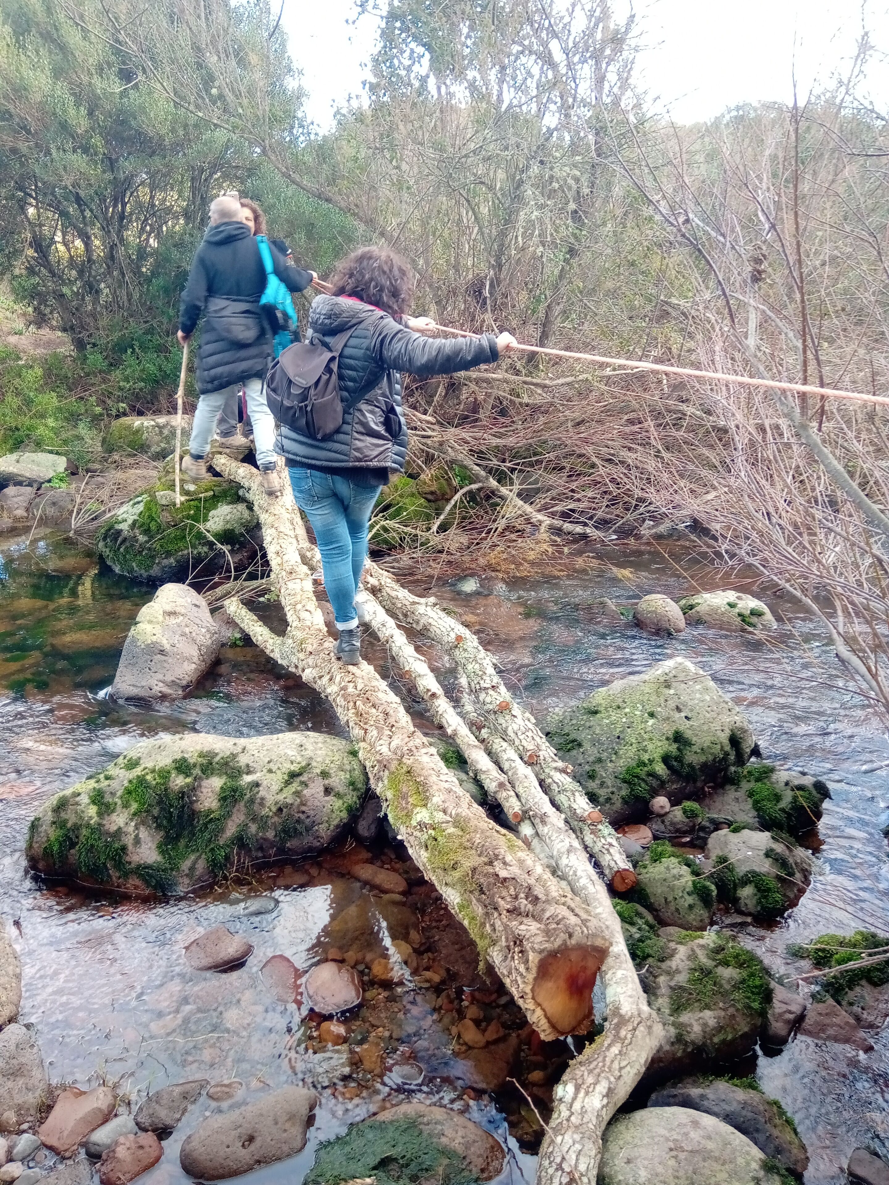 Foto - Hotel Locanda Minerva