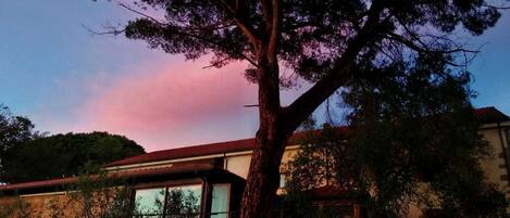 Un edificio con un gran árbol en frente, un muro de piedra y un techo rojo.
