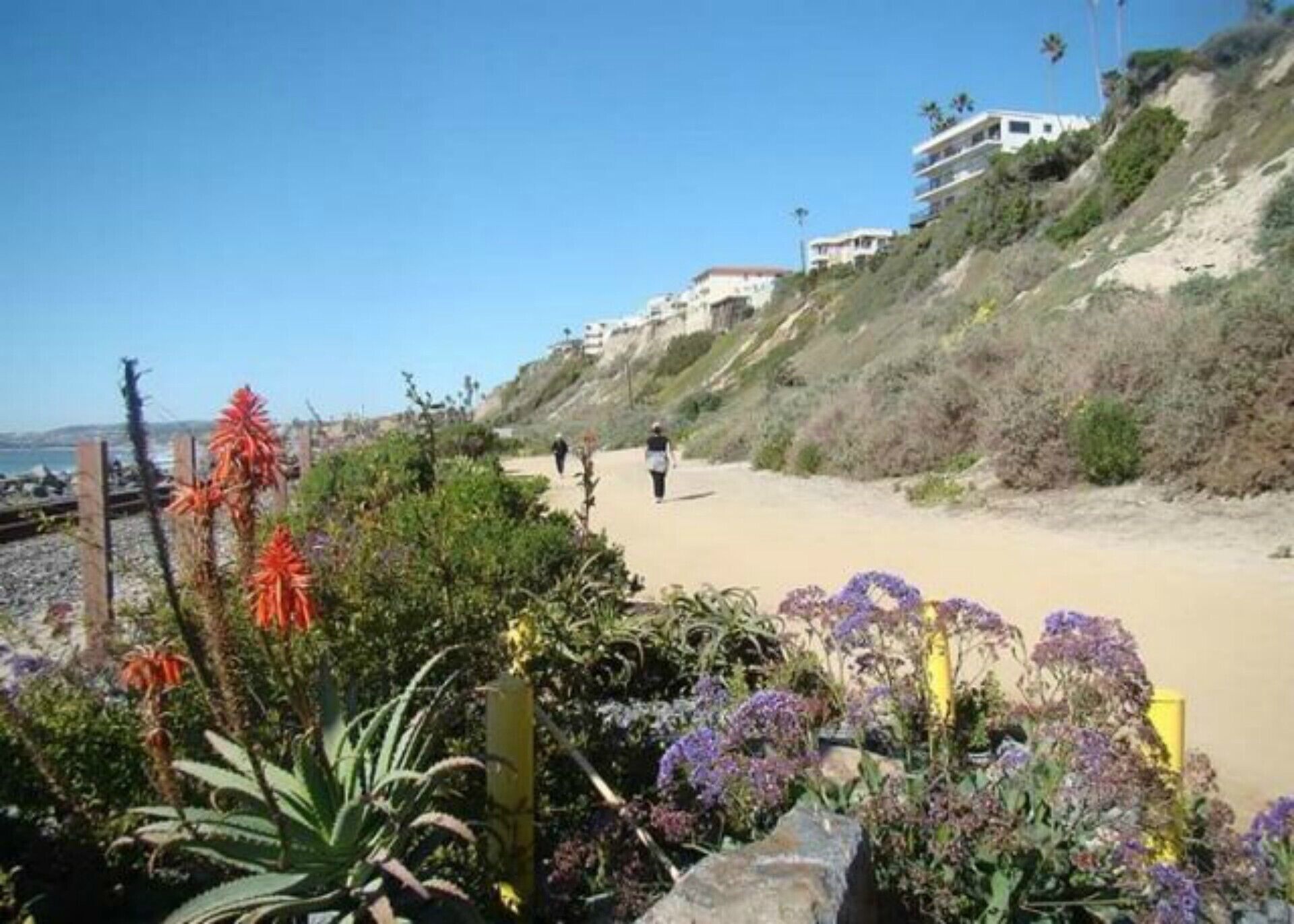Experience all of San Clemente!