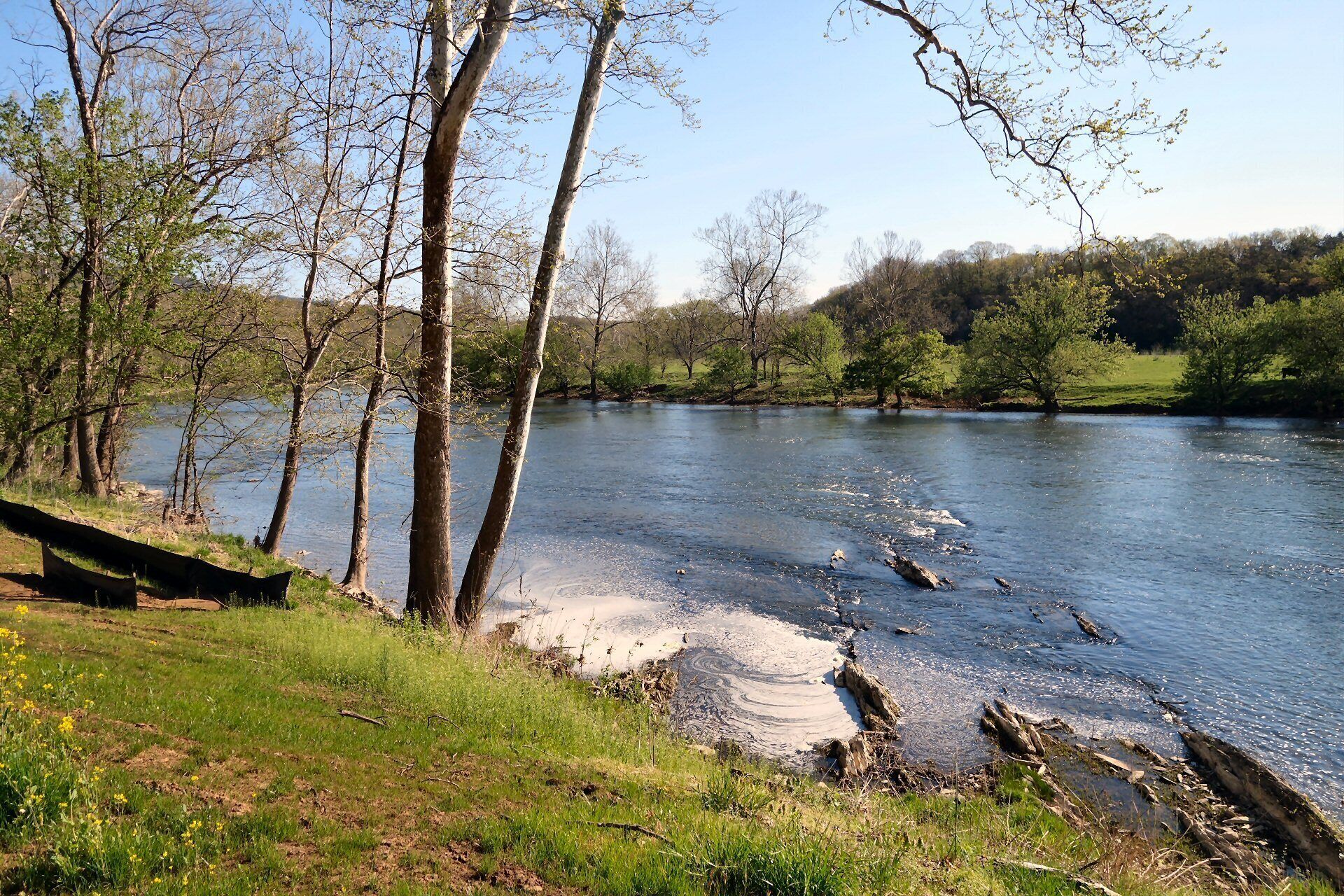 A riverbank with trees and a grassy area.