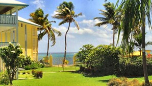 A well-maintained lawn with palm trees, a fence, and a building with a balcony.