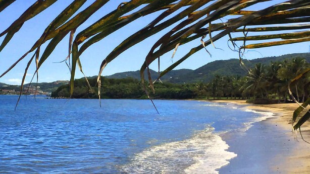 A beach with clear blue water, palm trees, and a distant mountain range.