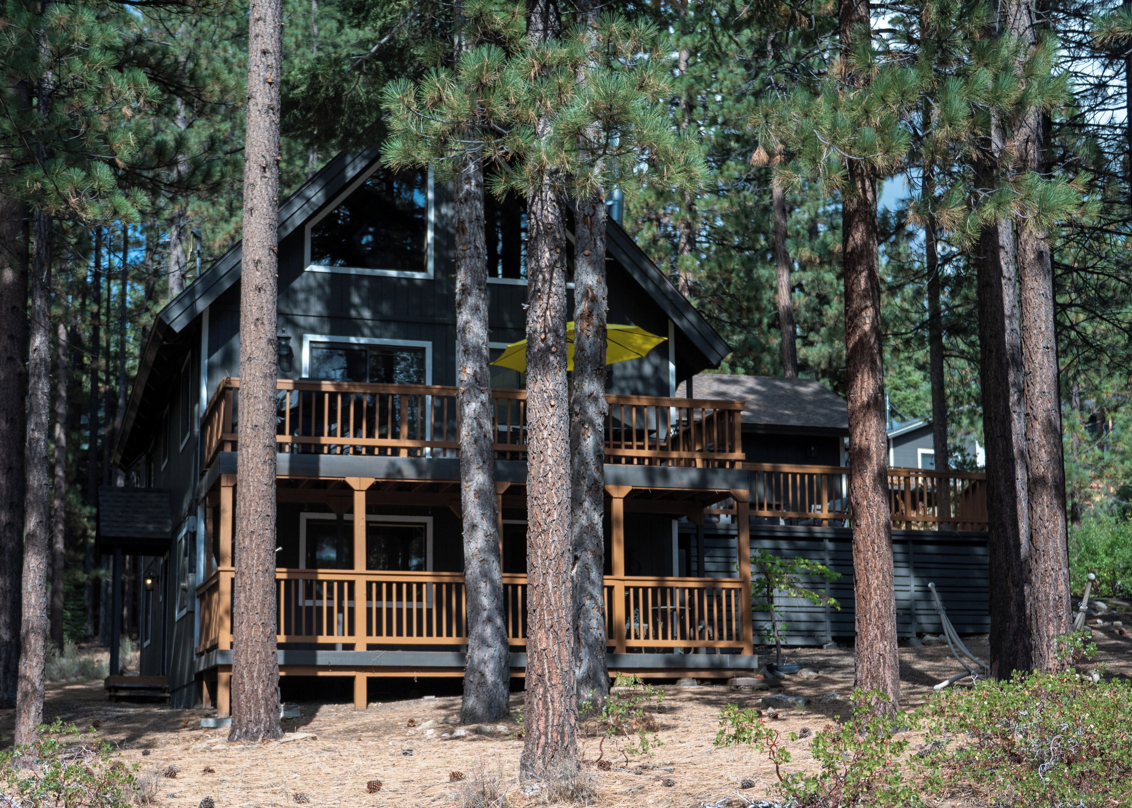 Une cabane à deux étages dotée d’une terrasse en bois et d’un balcon, entourée de grands pins.
