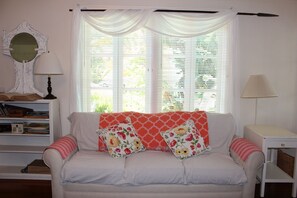 TV, fireplace, books