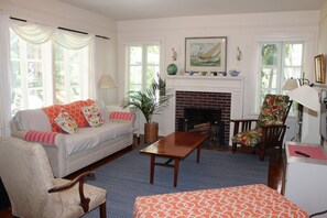 TV, fireplace, books
