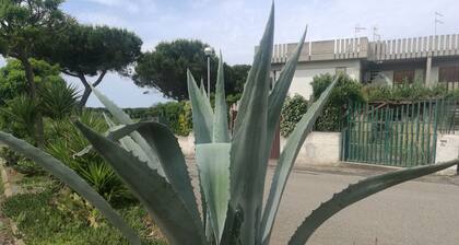 Mein kleines Haus am Meer in ruhiger Lage - Dachterrasse 35 mq..