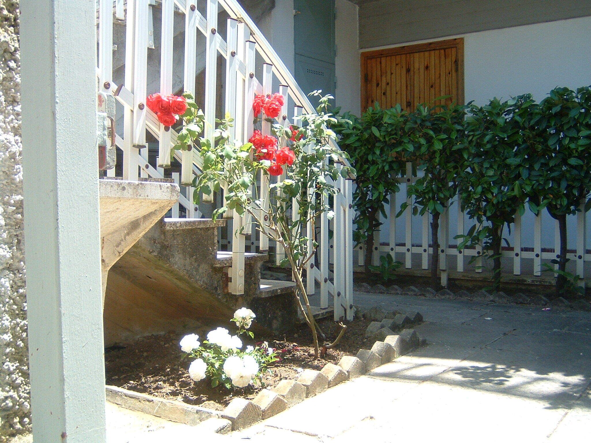 A staircase with a white railing leading to a wooden door.