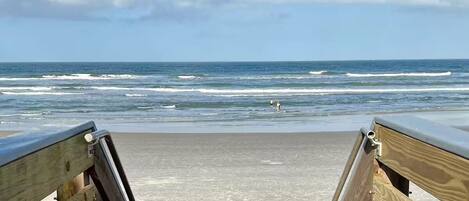 Accommodatie ligt op het strand, ligstoelen, strandlakens