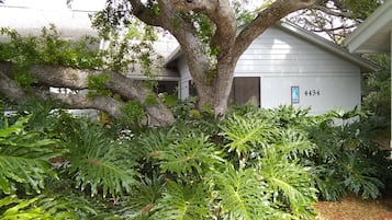 Surrounded by a lush garden and a mature tree, this property offers a serene and atmosphere.