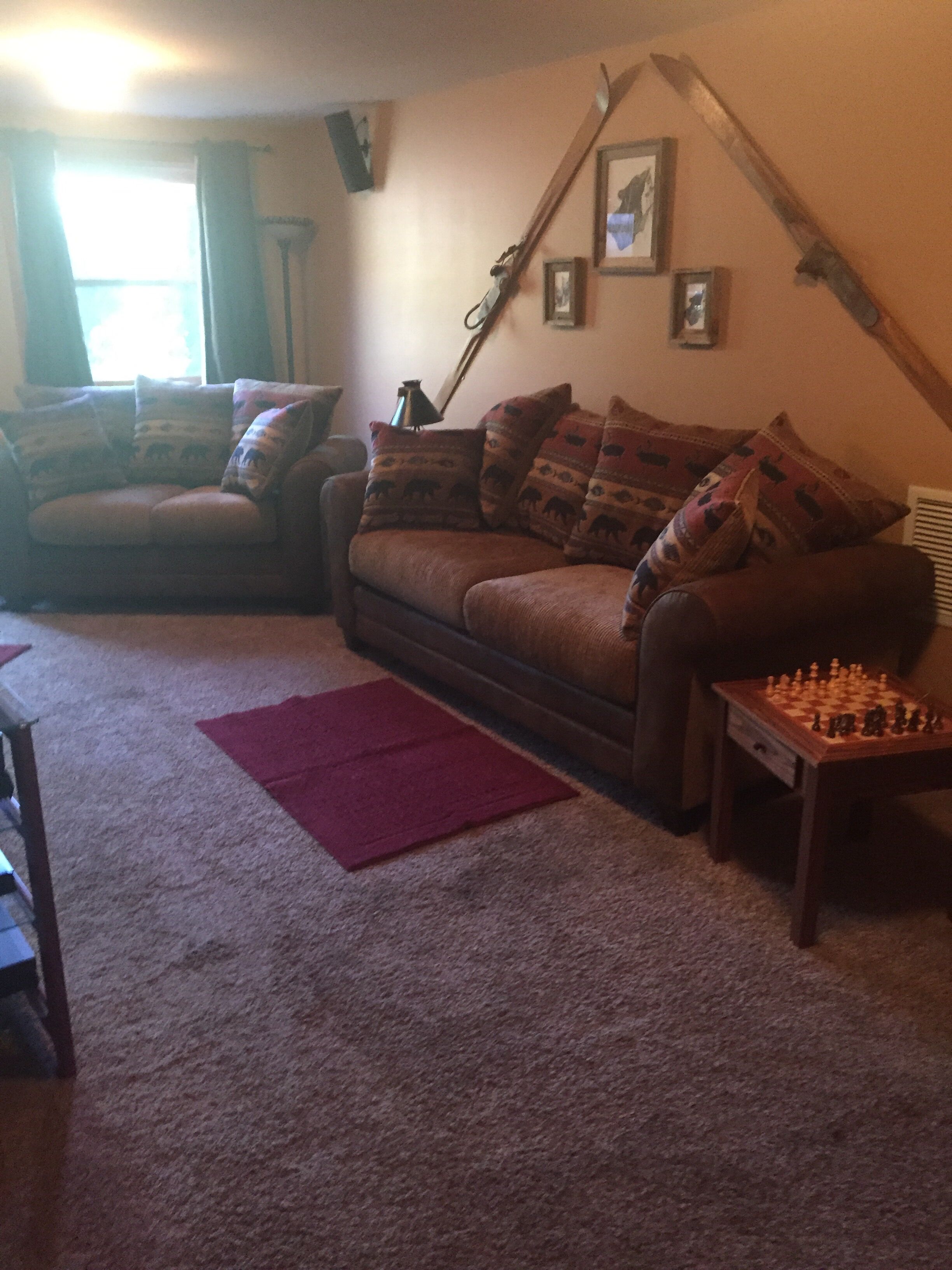 Cabin apartment on Gold Medal Waters!