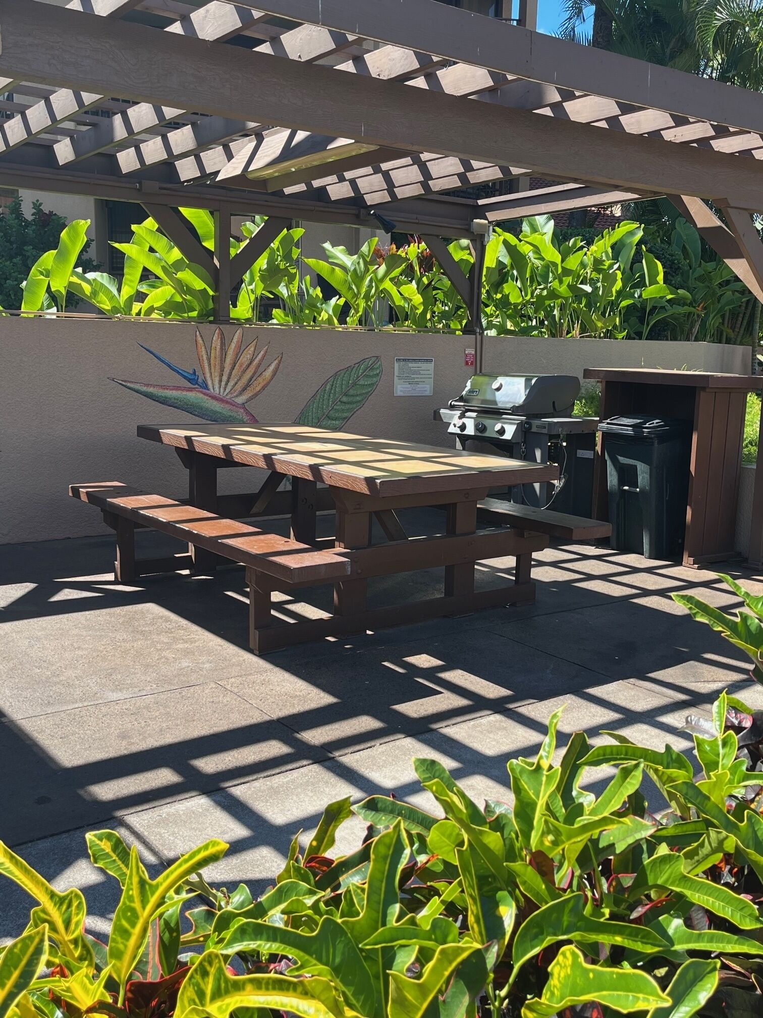 An outdoor patio with a wooden table and benches, a grill, and lush green plants.