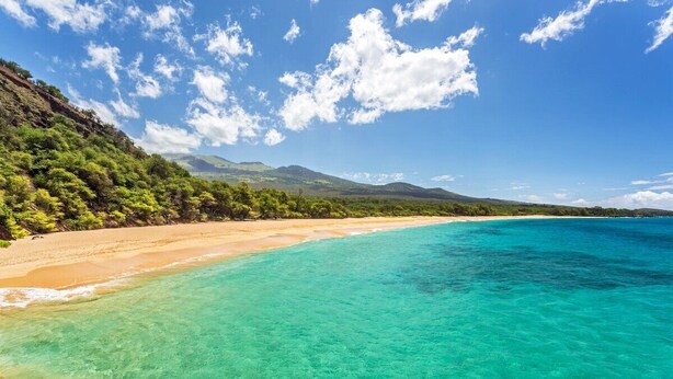 Une plage à l’eau turquoise et limpide, bordée d’un rivage sablonneux et d’une colline boisée.