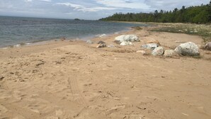 Une plage de sable parsemée de rochers, bordée par une étendue d’eau calme.