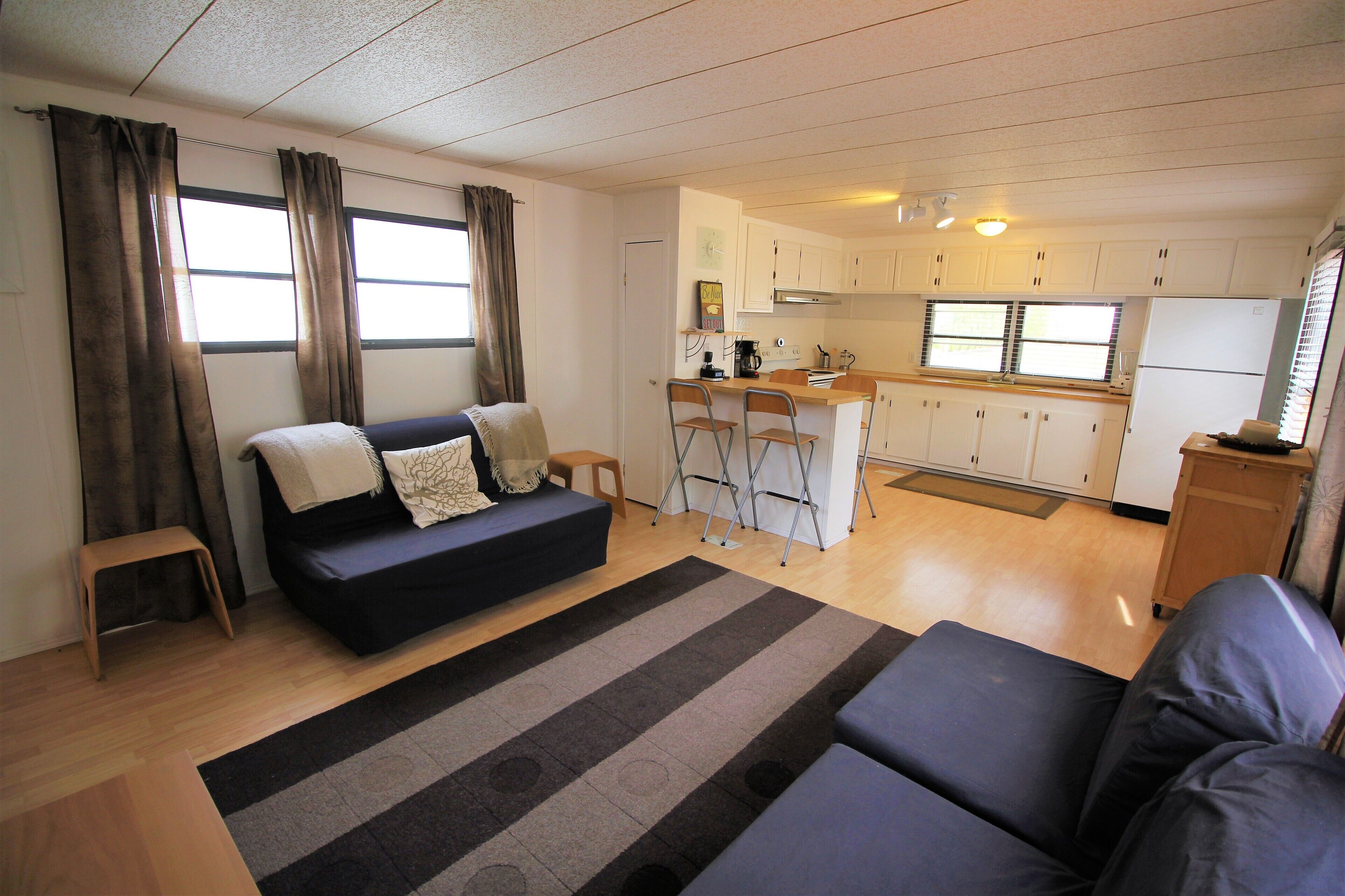 Amazing base camp in a desert oasis