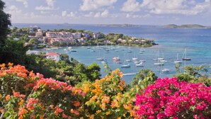 Une ville côtière avec des bâtiments, des bateaux et des fleurs aux couleurs vives.