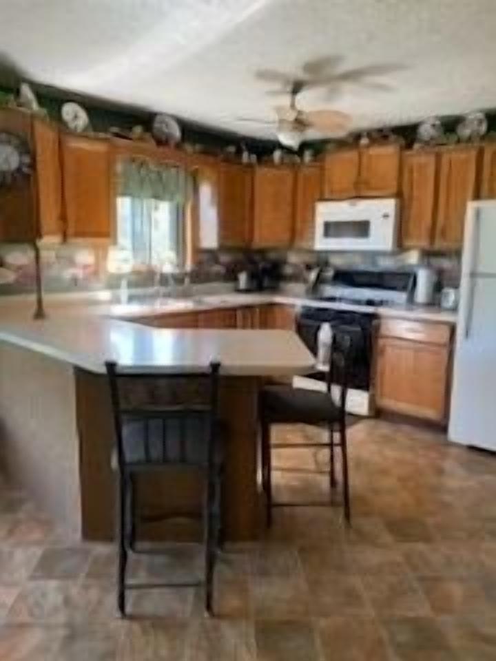 Fall is quickly falling and Winter is coming on!