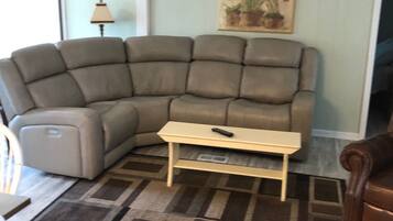 Smart TV, DVD player, video library