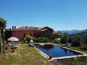 Taman