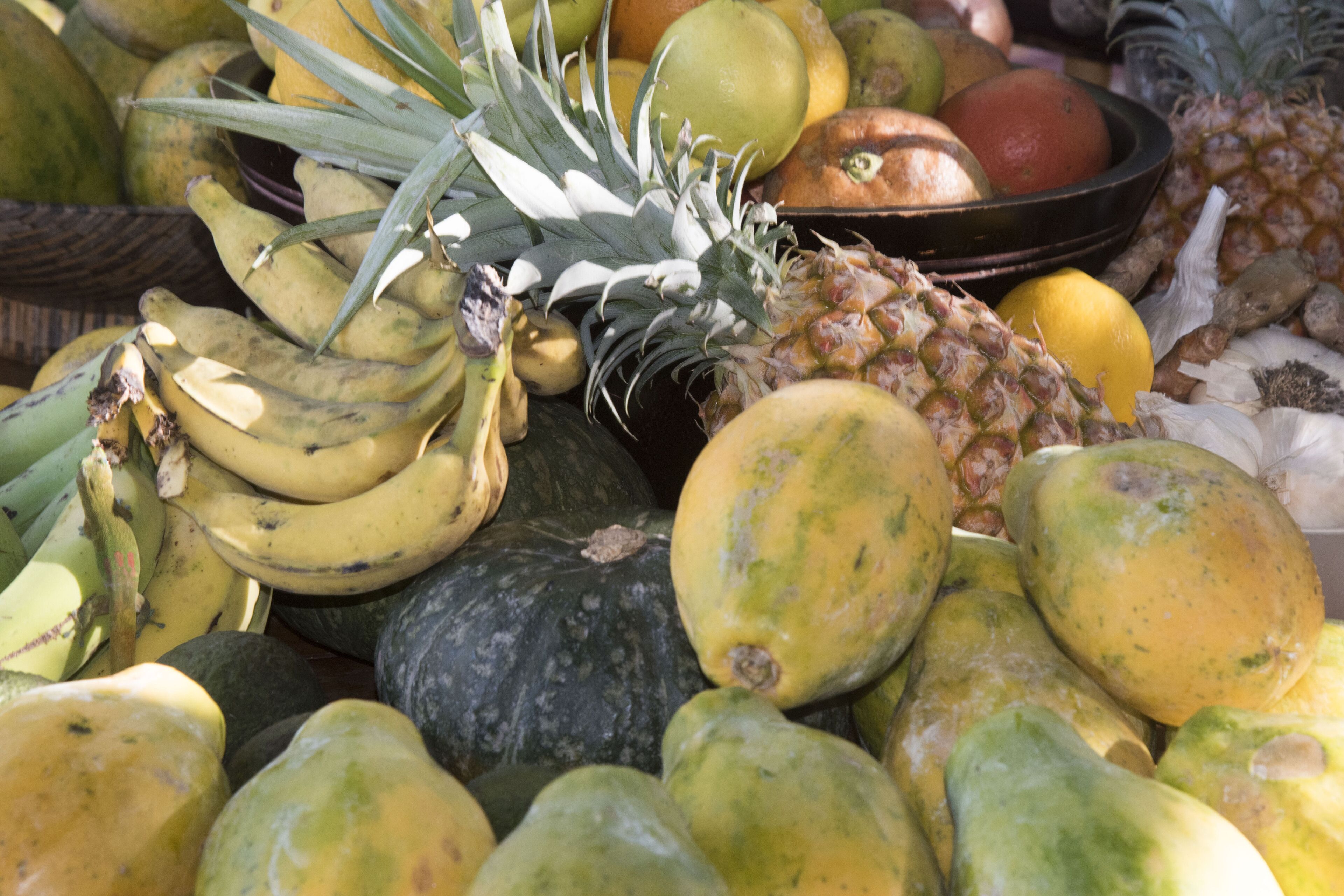 Eine Auswahl an Früchten, darunter Bananen, Ananas und Mangos.