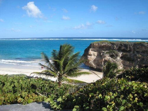 Your Relaxing Tropical Getaway Near Crane Resort