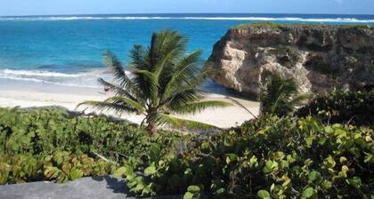 Your Relaxing Tropical Getaway Near Crane Resort