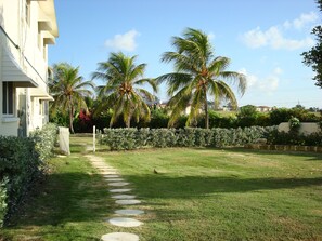 Property grounds - Your Relaxing Tropical Getaway Near Crane Resort (The Crane)