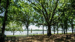 A park with picnic tables, benches, and a view of a lake. - Lakefront Retreat on 14+ Acres | Unforgettable Lake Getaway (Little Elm)